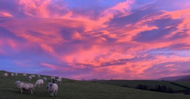 Comment – Its Raining