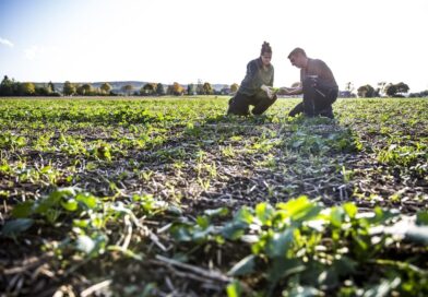 Registration Open for Innovators Support Programme 