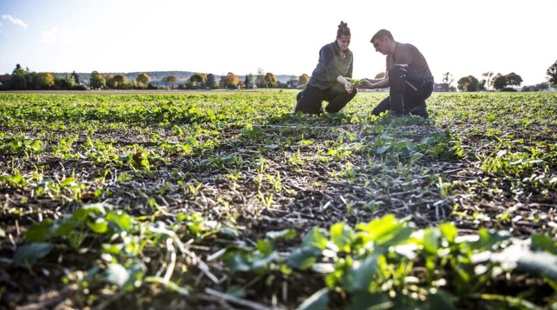 Registration Open for Innovators Support Programme 