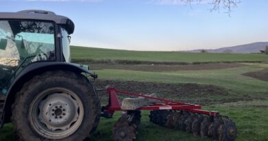 Comment – Oak before the Ash