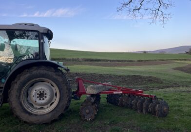 Comment – Oak before the Ash