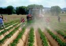 Innovation Meets Practice at PotatoEurope 2026