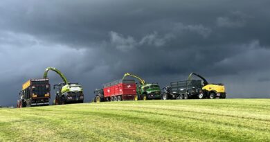 Comment – A good week