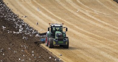 Glyphosate ban risks higher food prices