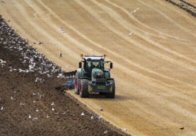 Glyphosate ban risks higher food prices