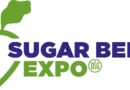 Field robotics offer new solutions for sugar beet weed control 