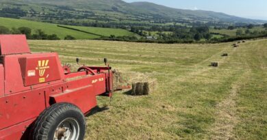 Comment – What’s occurring?