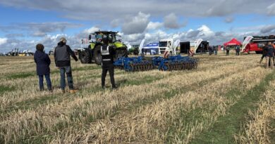 Comment – Out and about