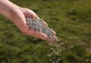 Fertiliser supply chain warns of spring delivery bottlenecks 