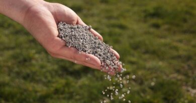 Fertiliser supply chain warns of spring delivery bottlenecks 