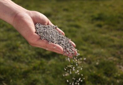 Fertiliser supply chain warns of spring delivery bottlenecks 
