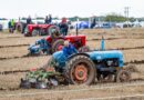 Ploughing tradition and family pride at 75th British Championships